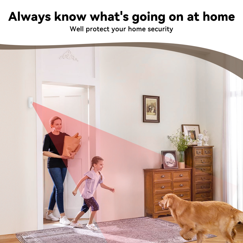 Tuya スマート PIR モーションセンサー スマートホー - Smart Home Monitoring のレビューと価格