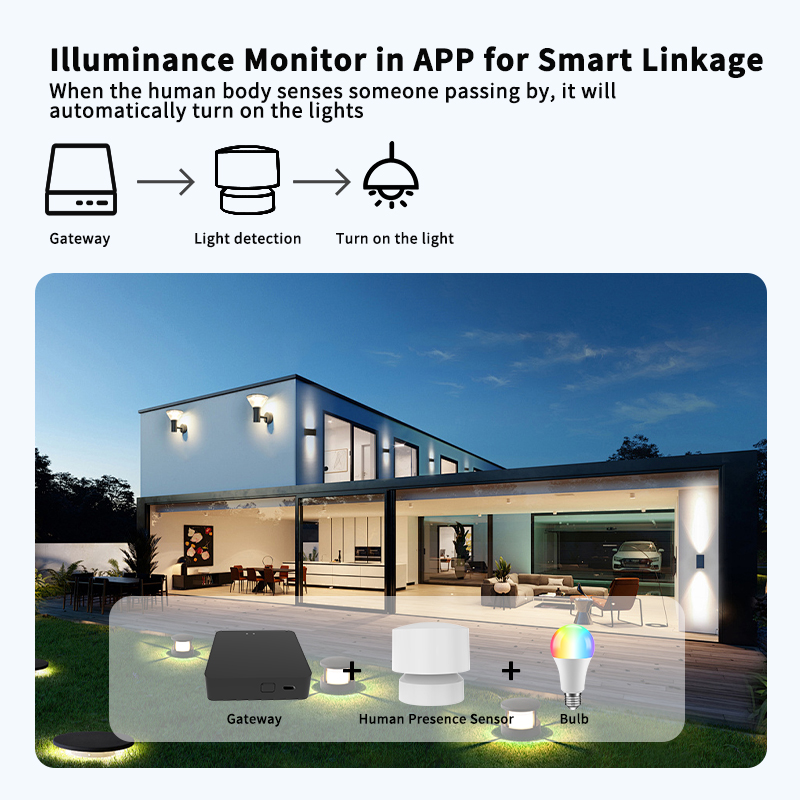 Zigbee または Wi-Fi 人感センサーは、Tuya  - Smart Home Monitoring のレビューと価格