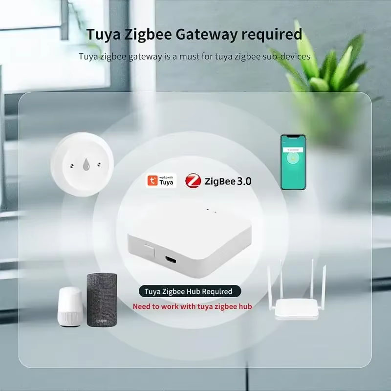 Tuya ZigBee 3.0 水漏れ検知器 スマート洪水セ - Smart Home Monitoring のレビューと価格
